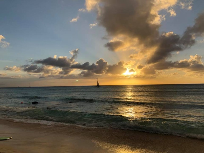 0A7F25EC-C046-41BF-B114-B500C839D526